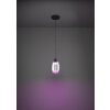Eglo MOLOCHIO-Z Pendellampa LED Svart, Färgväxlare