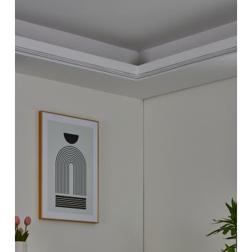 Eglo NEON-STRIPE-Z LED remsa LED Vit, Färgväxlare