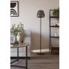 Eglo ALFERO-Z Golvlampa LED Svart, Färgväxlare