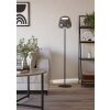 Eglo ALFERO-Z Golvlampa LED Svart, Färgväxlare