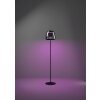 Eglo ALFERO-Z Golvlampa LED Svart, Färgväxlare