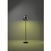 Eglo ALFERO-Z Golvlampa LED Svart, Färgväxlare