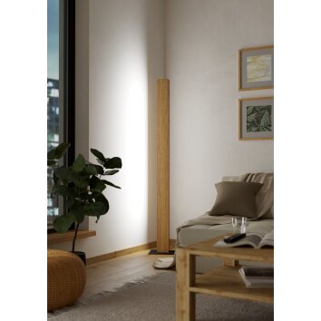 Eglo ANCHORENA-Z Golvlampa LED Brun, Svart, Färgväxlare Eglo ANCHORENA-Z Golvlampa LED Brun, Svart, Färgväxlare