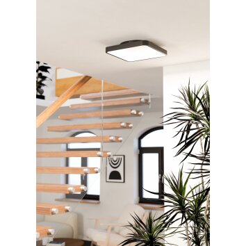 Eglo LORETELLO-Z Taklampa LED Svart, Färgväxlare