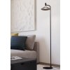 Eglo CONOMAVILLA-Z Golvlampa LED Svart, Färgväxlare