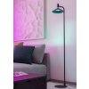 Eglo CONOMAVILLA-Z Golvlampa LED Svart, Färgväxlare