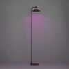 Eglo CONOMAVILLA-Z Golvlampa LED Svart, Färgväxlare