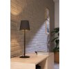 Eglo FIORANA Bordslampa Svart
