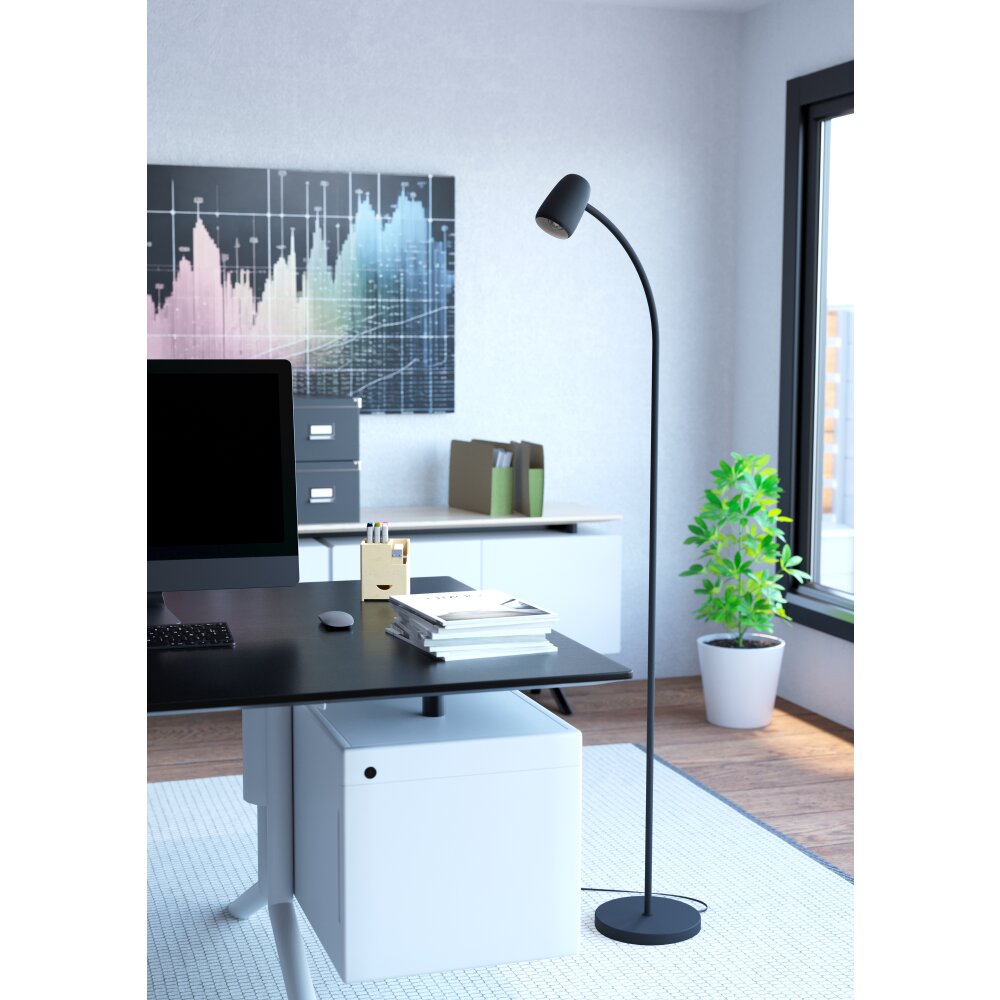 Eglo CARLO Golvlampa Svart main product photo