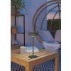Eglo SIMERI Bordslampa LED Grön, Fjärrkontroll