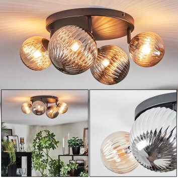 Chehalis Taklampa, kullampa Amber, Rökfärger, 4-ljuskällor