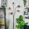 Ripoll kullampa, Golvlampa Amber, Klart, Rökfärger, 5-ljuskällor