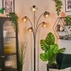 Ripoll kullampa, Golvlampa Amber, Klart, Rökfärger, 5-ljuskällor