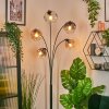 Ripoll kullampa, Golvlampa Amber, Klart, Rökfärger, 5-ljuskällor