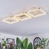 Danor Taklampa LED Nickel matt, 1-ljuskällor