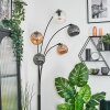 Ripoll kullampa, Golvlampa Amber, Klart, Rökfärger, 5-ljuskällor