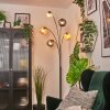 Ripoll kullampa, Golvlampa Amber, Klart, Rökfärger, 5-ljuskällor