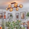Koyoto Taklampa, kullampa Amber, 8-ljuskällor