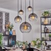 Koyoto Pendellampa, kullampa, Pendelbelysning Klart, Rökfärger, 5-ljuskällor