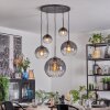 Koyoto Pendellampa, kullampa, Pendelbelysning Klart, Rökfärger, 5-ljuskällor