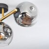 Ripoll Taklampa, kullampa Guld, Svart, 3-ljuskällor