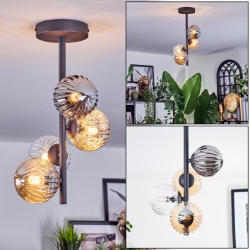 Chehalis Taklampa, kullampa Amber, Klart, Rökfärger, 4-ljuskällor