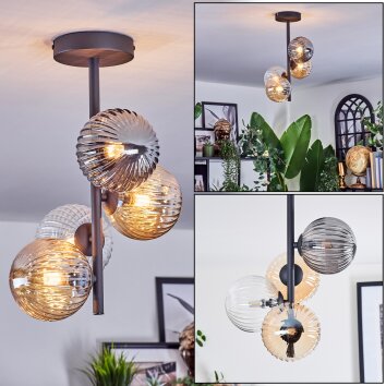 Chehalis Taklampa, kullampa Amber, Klart, Rökfärger, 4-ljuskällor