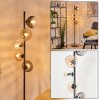 Koyoto kullampa, Golvlampa Amber, Klart, Rökfärger, 5-ljuskällor