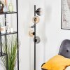 Koyoto kullampa, Golvlampa Amber, Klart, Rökfärger, 5-ljuskällor