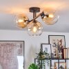 Koyoto Taklampa, kullampa Amber, Klart, 3-ljuskällor