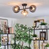 Koyoto Taklampa, kullampa Amber, Klart, Rökfärger, 3-ljuskällor