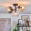 Koyoto Taklampa, kullampa Amber, Klart, Rökfärger, 3-ljuskällor