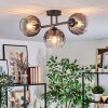 Koyoto Taklampa, kullampa Klart, Rökfärger, 3-ljuskällor