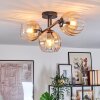 Koyoto Taklampa, kullampa Amber, Klart, 3-ljuskällor