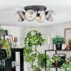 Koyoto Taklampa, kullampa Amber, Klart, Rökfärger, 4-ljuskällor