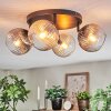 Koyoto Taklampa, kullampa Amber, Klart, Rökfärger, 4-ljuskällor