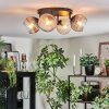 Koyoto Taklampa, kullampa Amber, Klart, Rökfärger, 4-ljuskällor