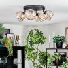 Koyoto Taklampa, kullampa Amber, Klart, 4-ljuskällor