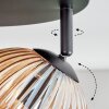 Koyoto Taklampa, kullampa Amber, 4-ljuskällor