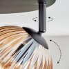 Koyoto Taklampa, kullampa Amber, Klart, 4-ljuskällor