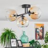 Koyoto Taklampa, kullampa Amber, Klart, 3-ljuskällor