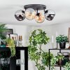 Koyoto Taklampa, kullampa Amber, Krom, Rökfärger, 4-ljuskällor