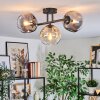 Ripoll Taklampa, kullampa Amber, Klart, Rökfärger, 3-ljuskällor