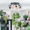 Gastor Taklampa, kullampa Amber, Klart, Rökfärger, 4-ljuskällor