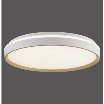 Paul Neuhaus MIO Taklampa LED Sandfärgad, 1-ljuskällor, Fjärrkontroll