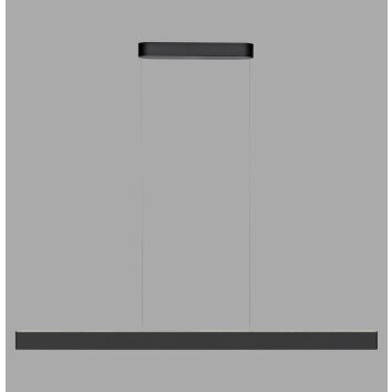 Paul Neuhaus Q-Serie Q-STRETTO Pendelbelysning LED Svart, 2-ljuskällor, Fjärrkontroll