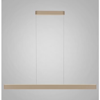 Paul Neuhaus Q-Serie Q-STRETTO Pendelbelysning LED Brons, 2-ljuskällor, Fjärrkontroll