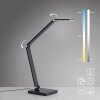 Paul Neuhaus SAMSKY Bordslampa LED Grått, 1-ljuskällor