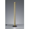 Trio TEXEL Golvlampa, Golvlampa LED Svart, 1-ljuskällor