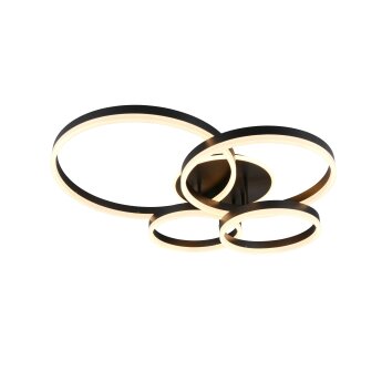 Trio Drake Taklampa LED Svart, 1-ljuskällor, Fjärrkontroll